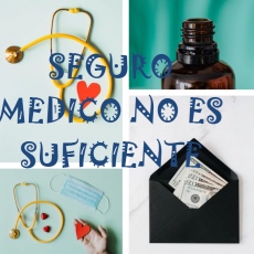 subsidio seguro medico